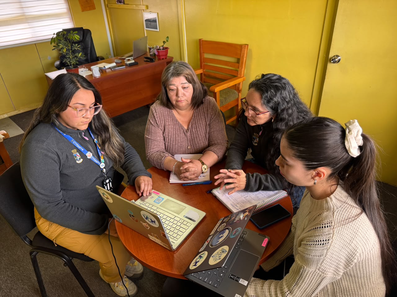 Consejo Regional destaca impecable ejecución presupuestaria de la Municipalidad de O’Higgins en el programa «Emprende O’Higgins»