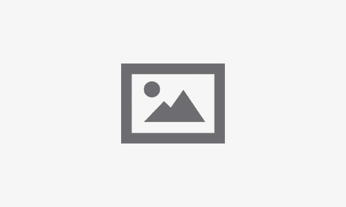 Fecha de elecciones Comité Social Productivo 7 Sur