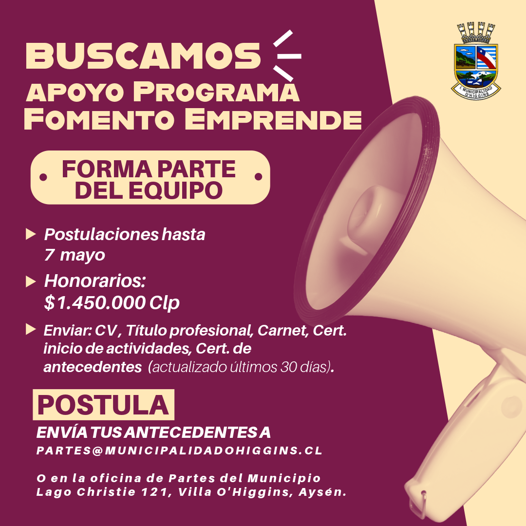 Llamado a presentación de antecedentes: Apoyo para el Programa Fomento Emprende en Villa O’Higgins