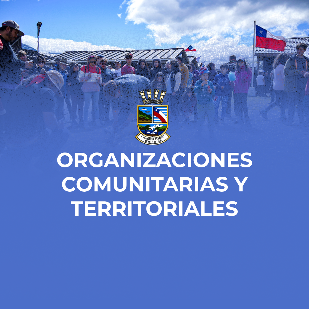 Resultado elecciones de la OO.CC Centro de Padres y Apoderados Liceo Pioneros del Sur.