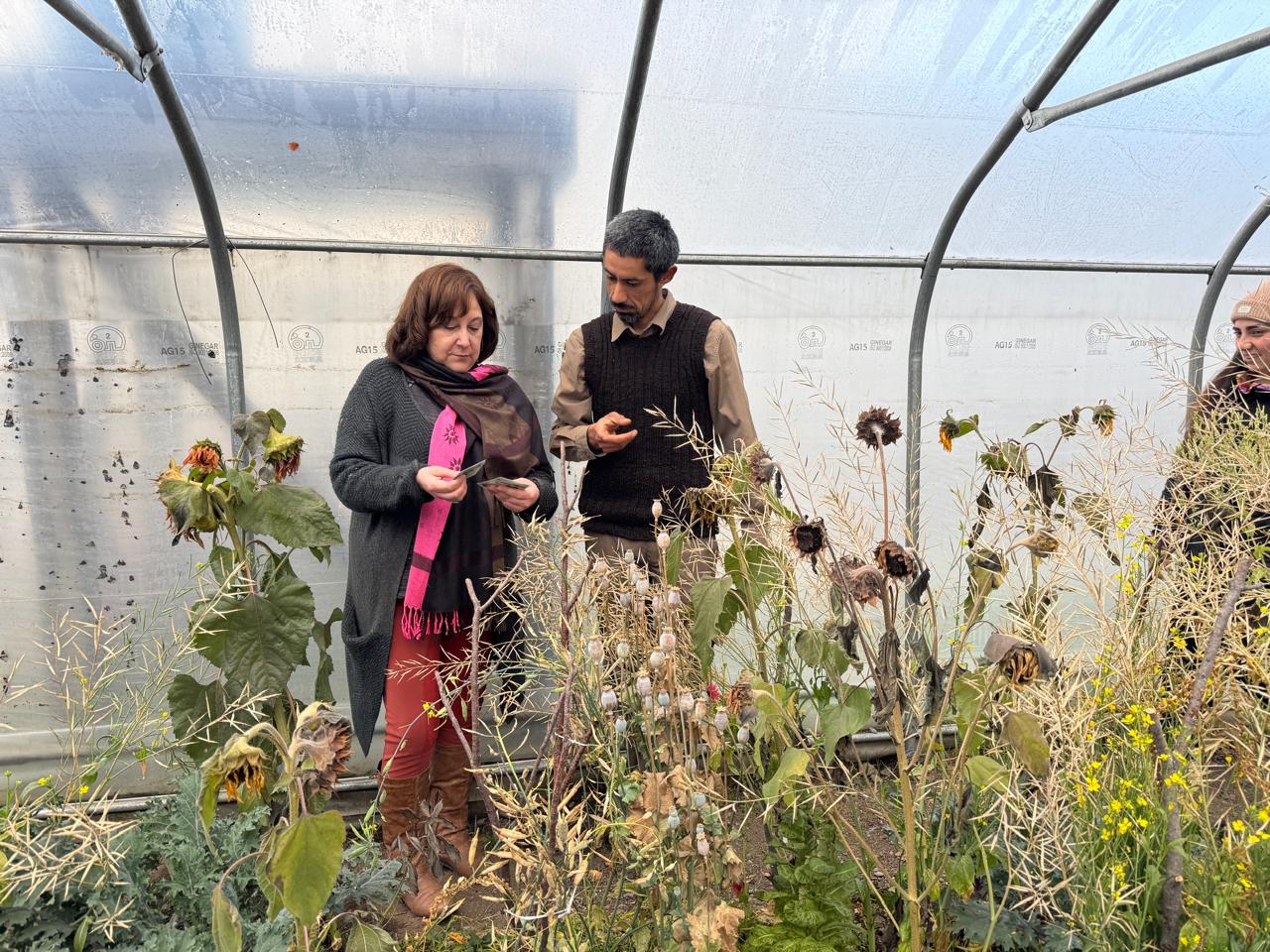 Villa O’Higgins celebra su «Primer Festival de Otoño»:  Un espacio para fortalecer la cultura local y el encuentro comunitario.    